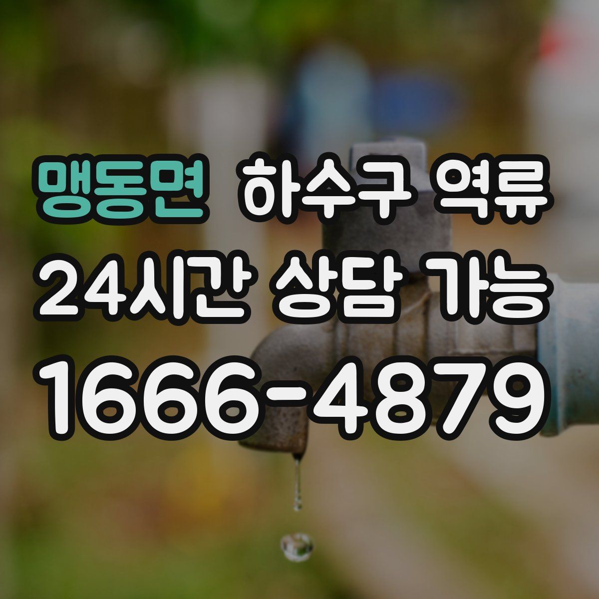 맹동면 하수구 역류