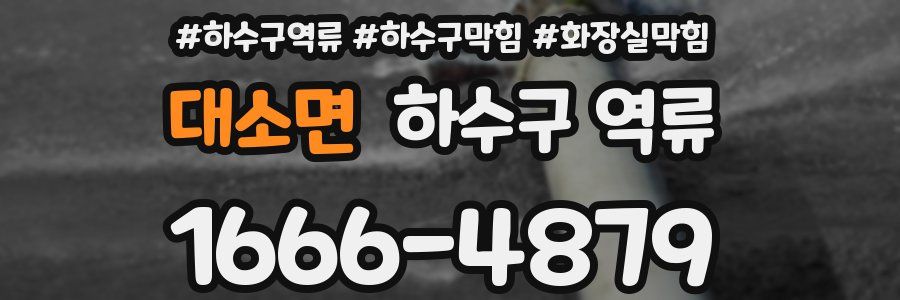 대소면 하수구 역류