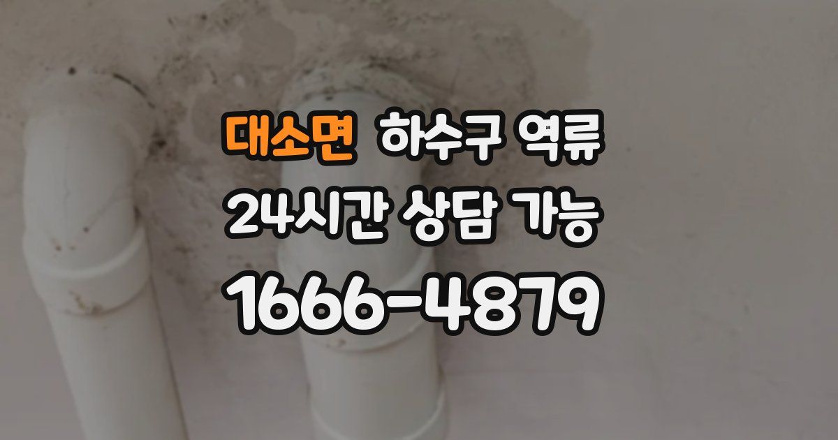 대소면 하수구 역류