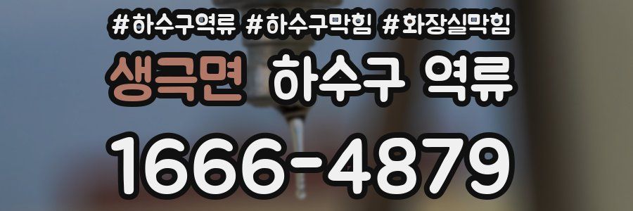 생극면 하수구 역류