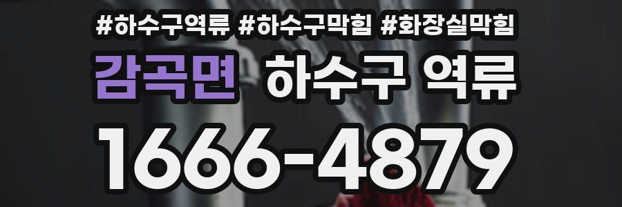 감곡면 하수구 역류