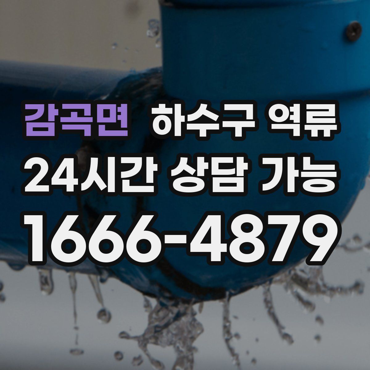 감곡면 하수구 역류