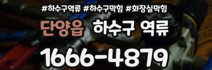 단양읍 하수구 역류