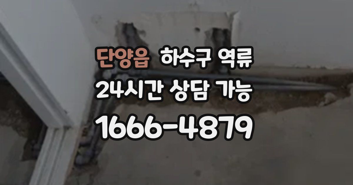 단양읍 하수구 역류