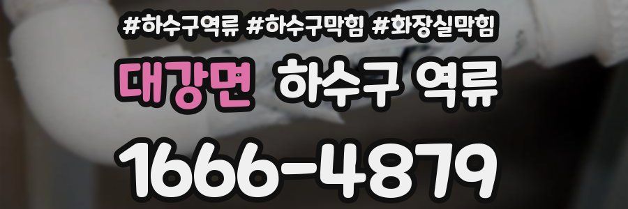 대강면 하수구 역류