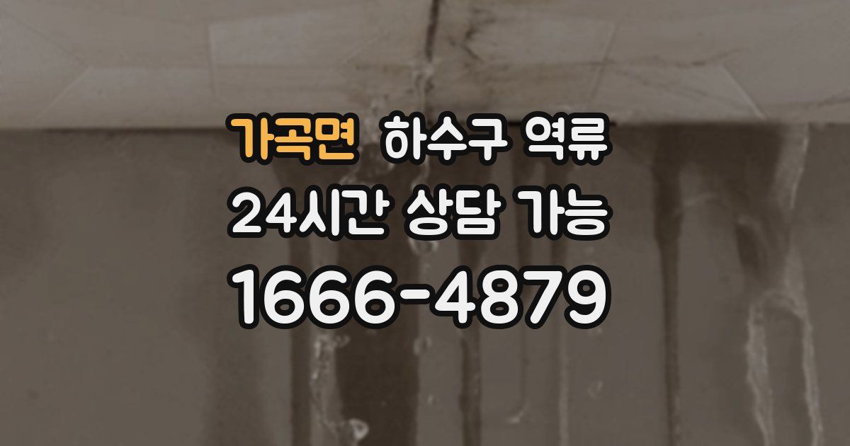 가곡면 하수구 역류