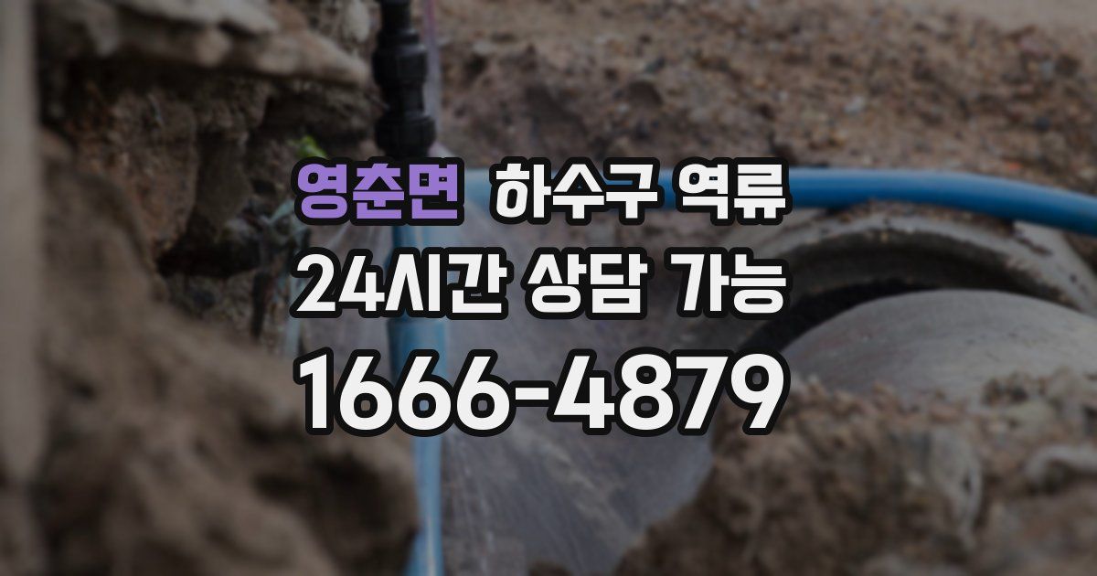 영춘면 하수구 역류