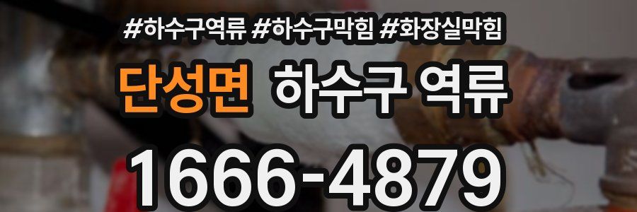단성면 하수구 역류