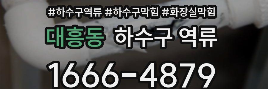 대흥동 하수구 역류