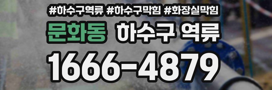 문화동 하수구 역류