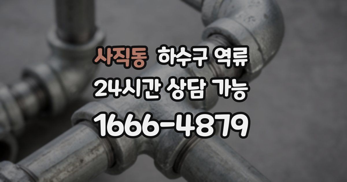 사직동 하수구 역류