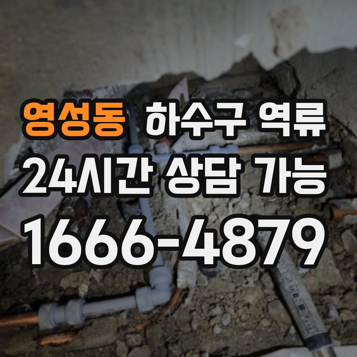 영성동 하수구 역류