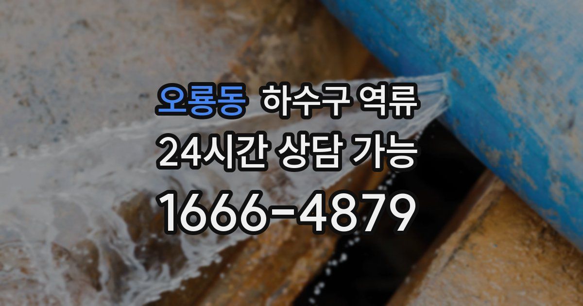 오룡동 하수구 역류