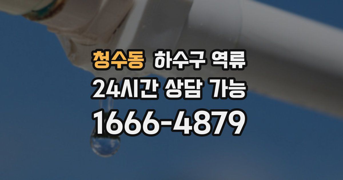 청수동 하수구 역류