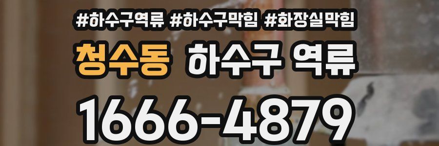 청수동 하수구 역류