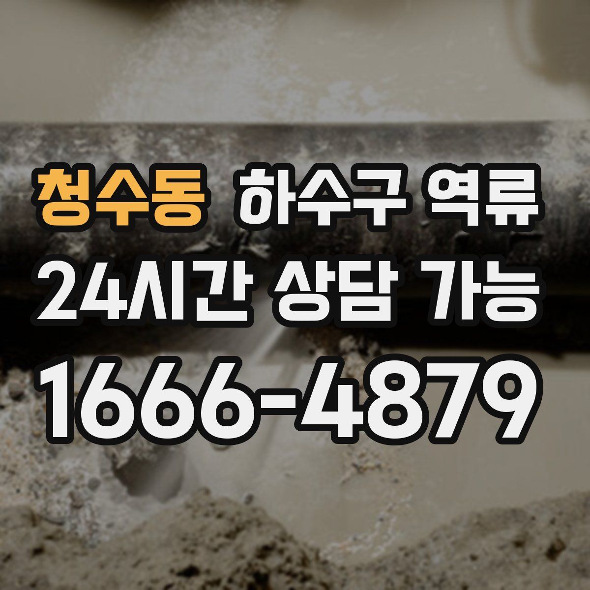 청수동 하수구 역류