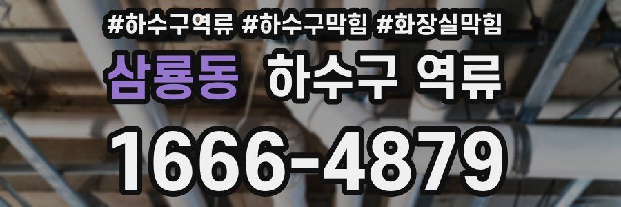 삼룡동 하수구 역류