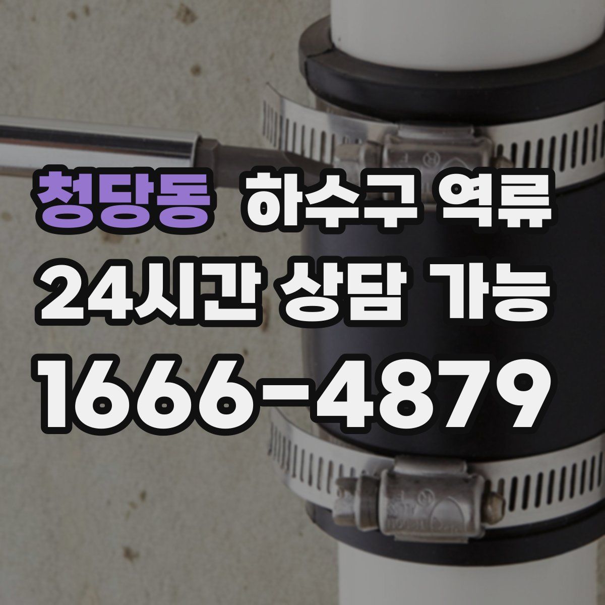 청당동 하수구 역류