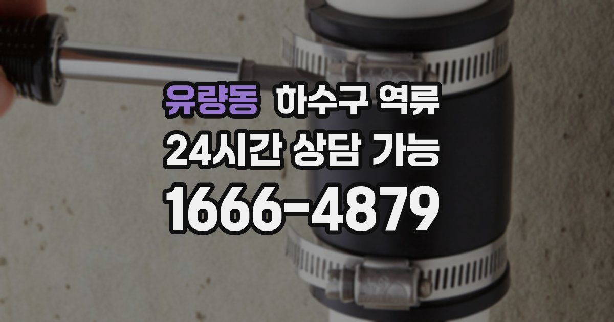 유량동 하수구 역류