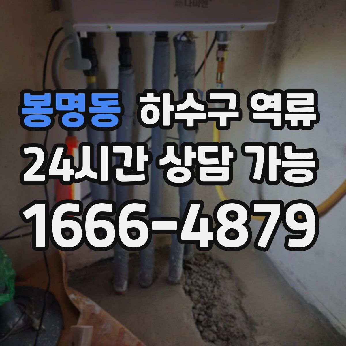 봉명동 하수구 역류