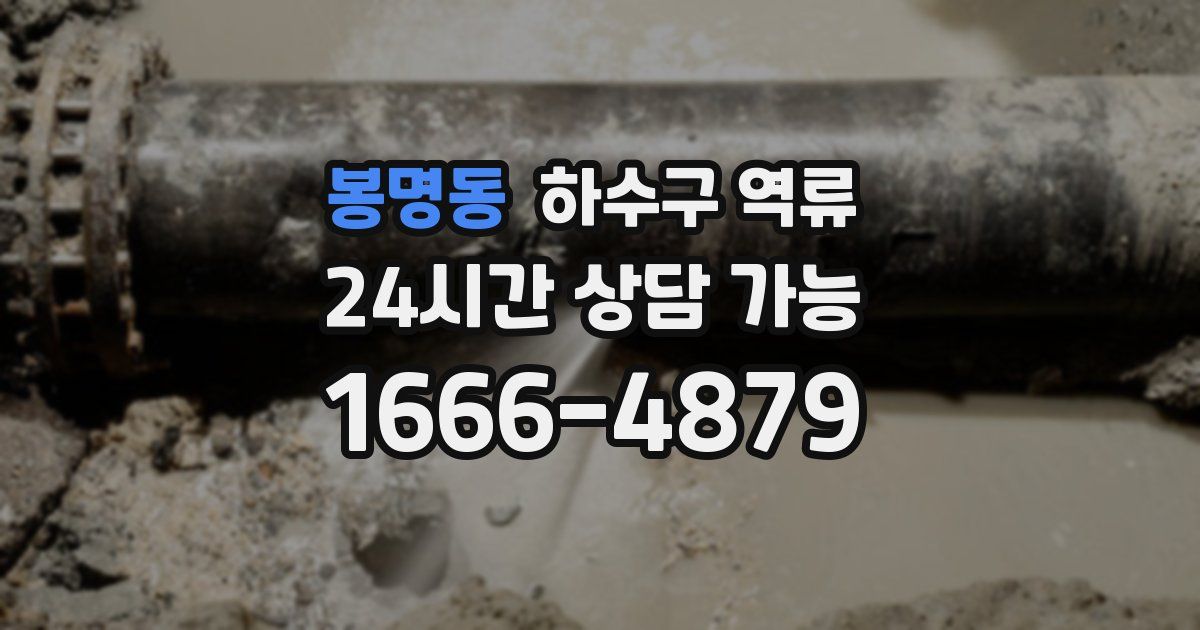 봉명동 하수구 역류