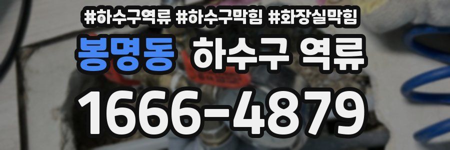 봉명동 하수구 역류