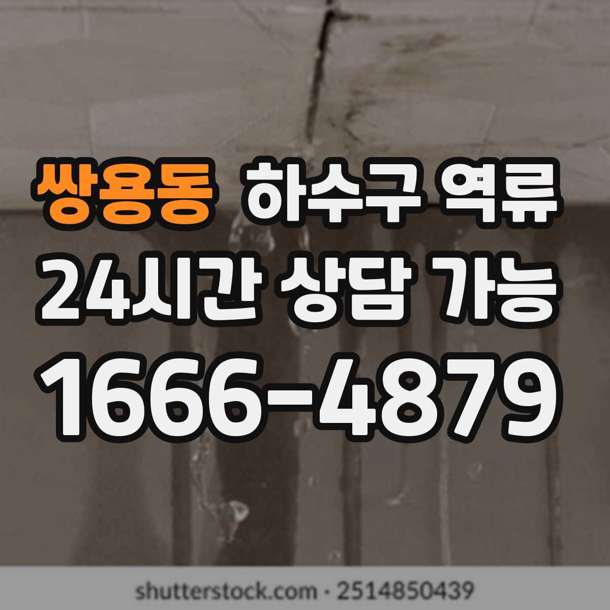 쌍용동 하수구 역류