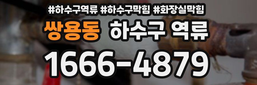 쌍용동 하수구 역류