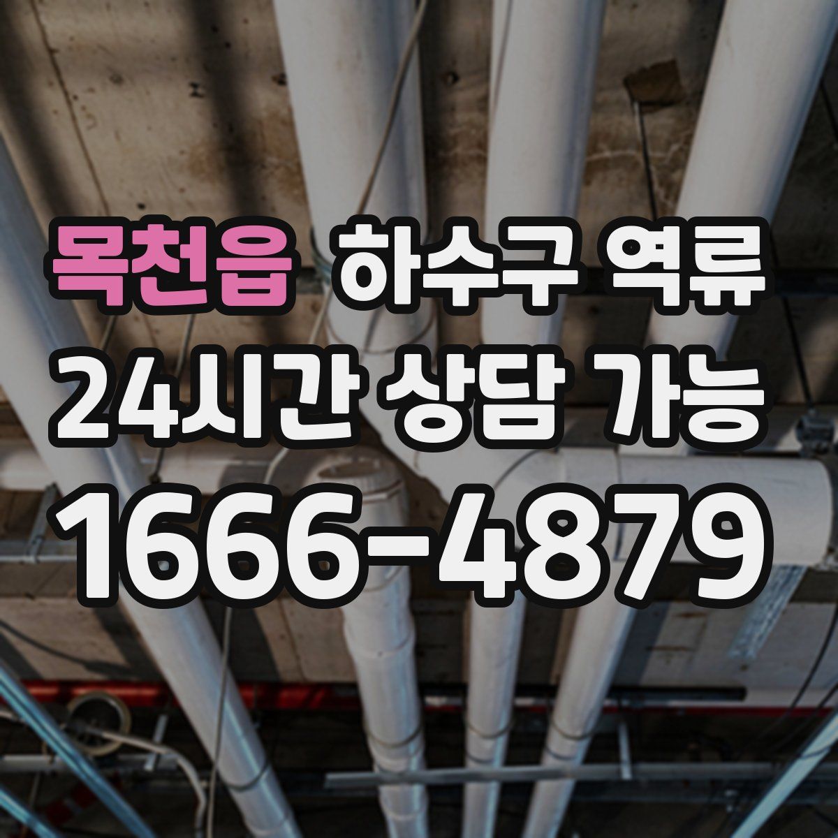 목천읍 하수구 역류