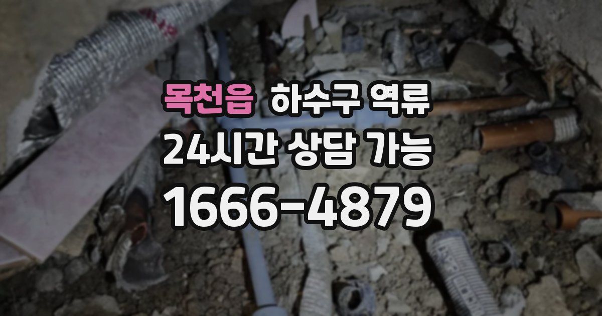 목천읍 하수구 역류