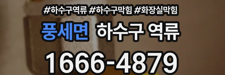 풍세면 하수구 역류