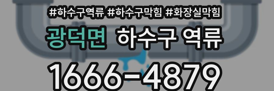 광덕면 하수구 역류