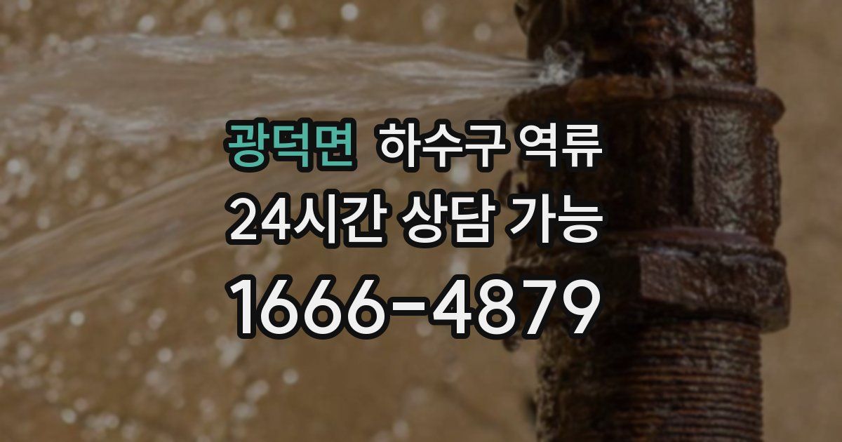 광덕면 하수구 역류