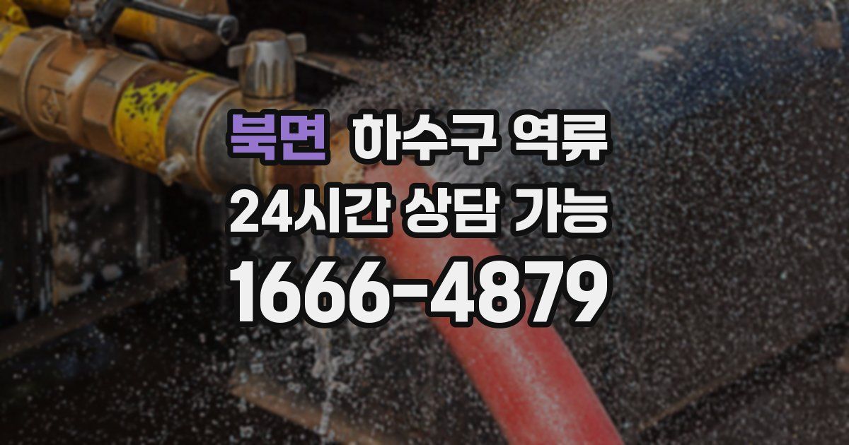 북면 하수구 역류