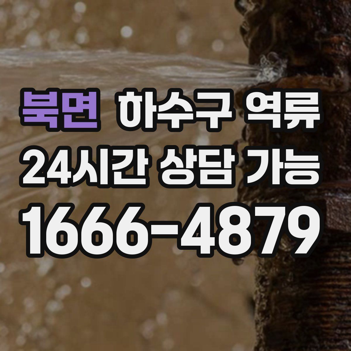 북면 하수구 역류