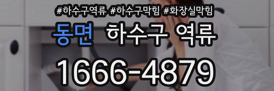 동면 하수구 역류