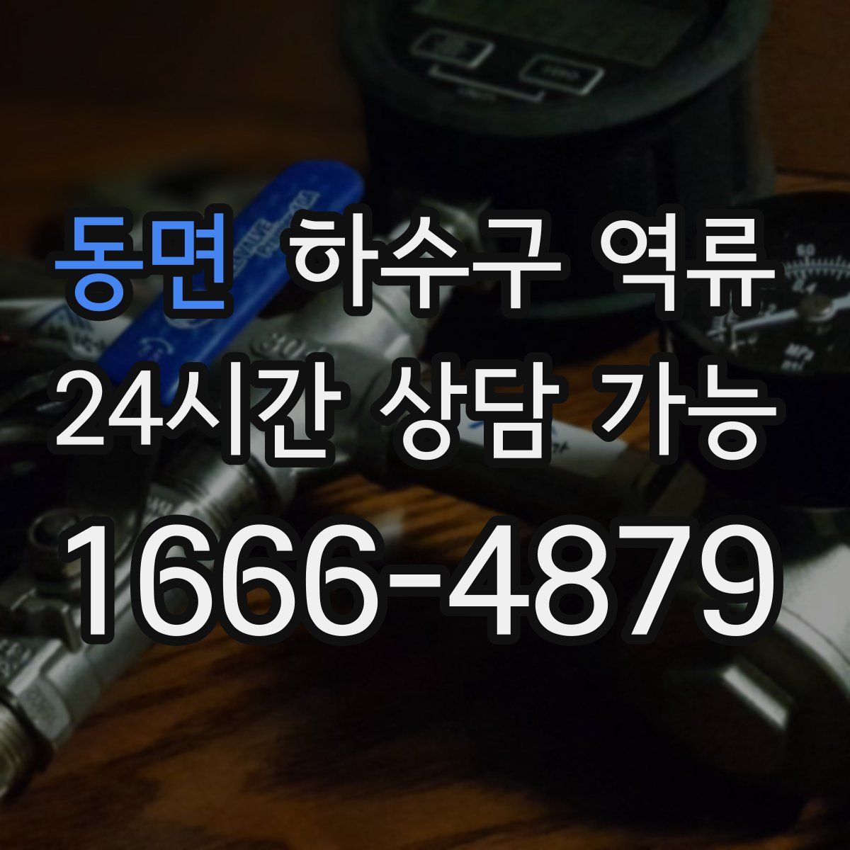 동면 하수구 역류