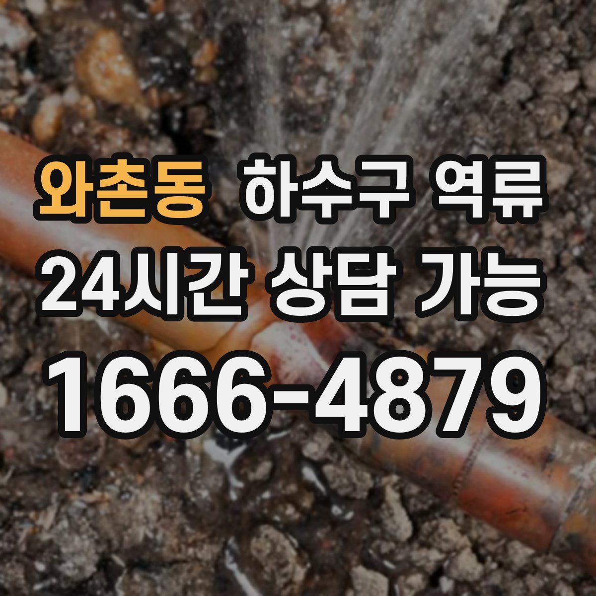 와촌동 하수구 역류