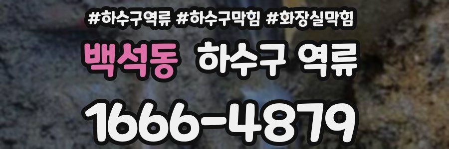 백석동 하수구 역류