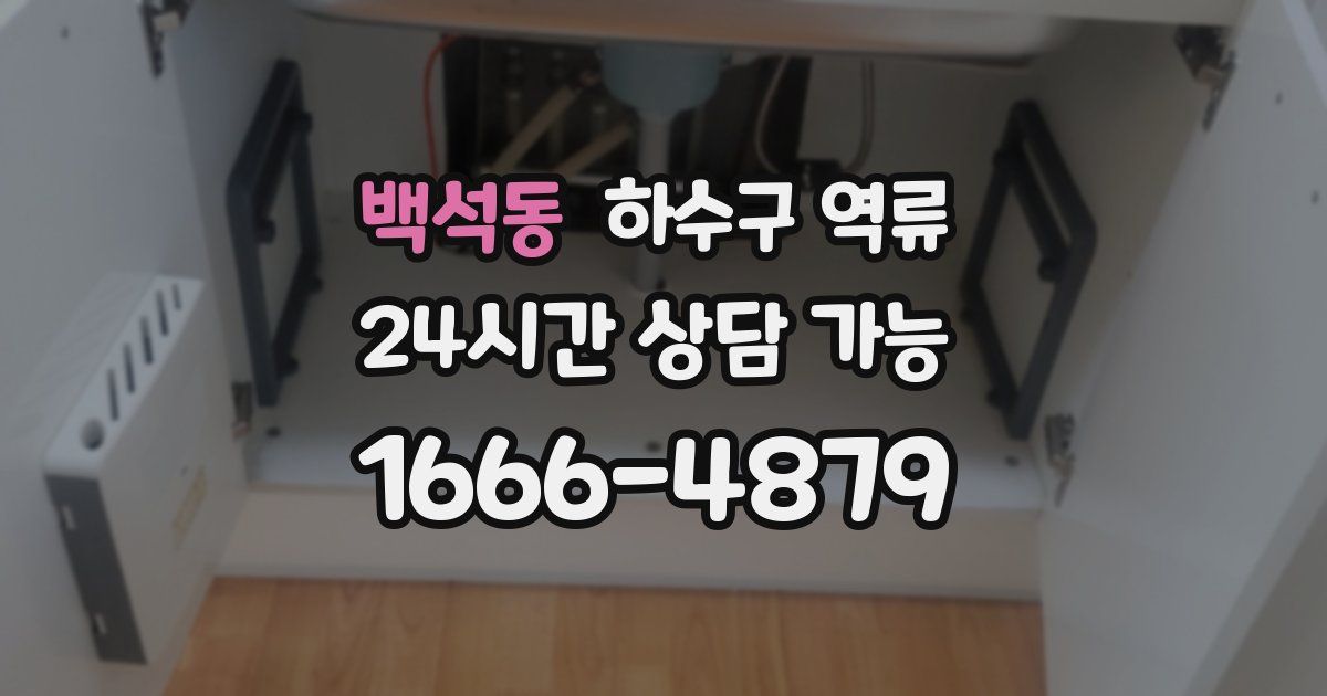 백석동 하수구 역류