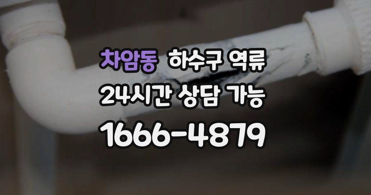 차암동 하수구 역류