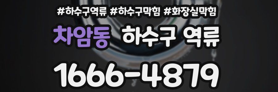 차암동 하수구 역류