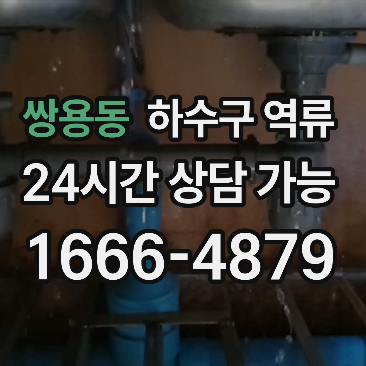 쌍용동 하수구 역류