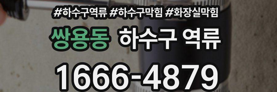 쌍용동 하수구 역류