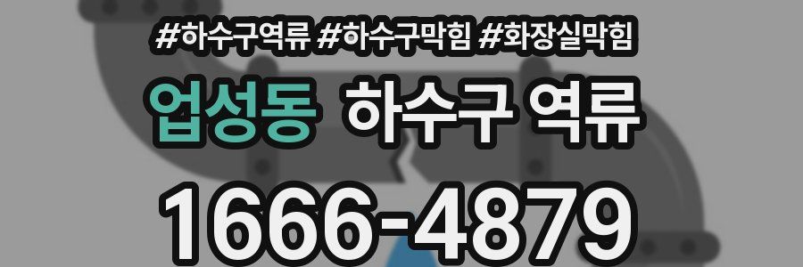 업성동 하수구 역류