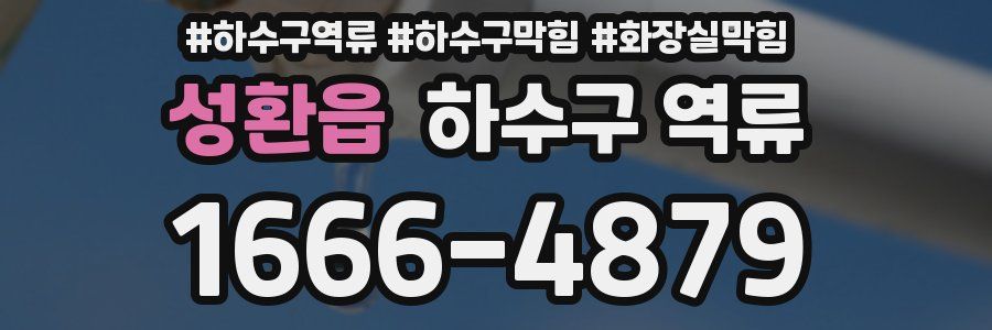 성환읍 하수구 역류