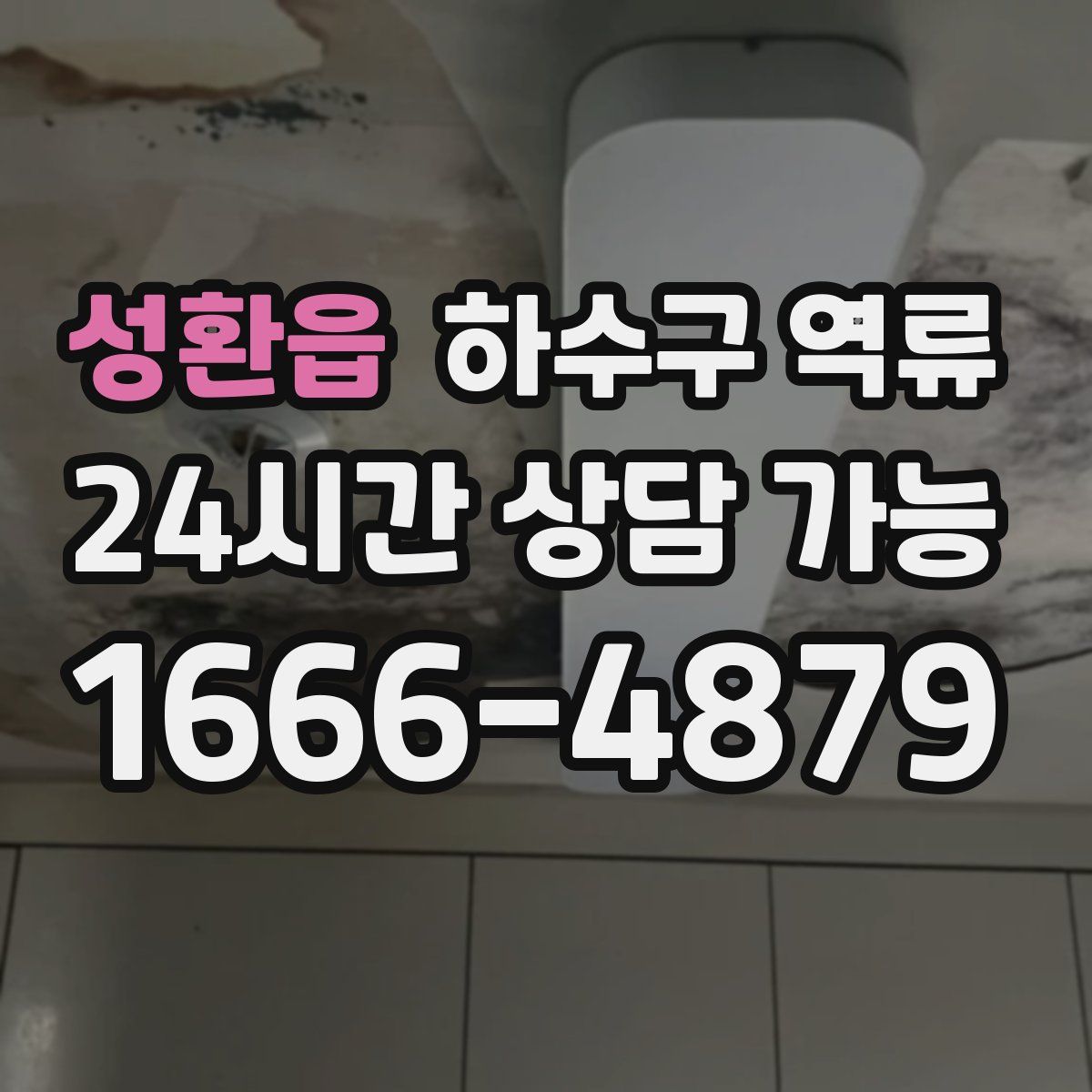 성환읍 하수구 역류