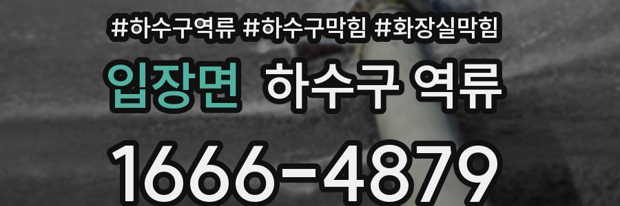 입장면 하수구 역류