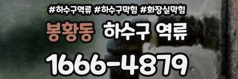 봉황동 하수구 역류