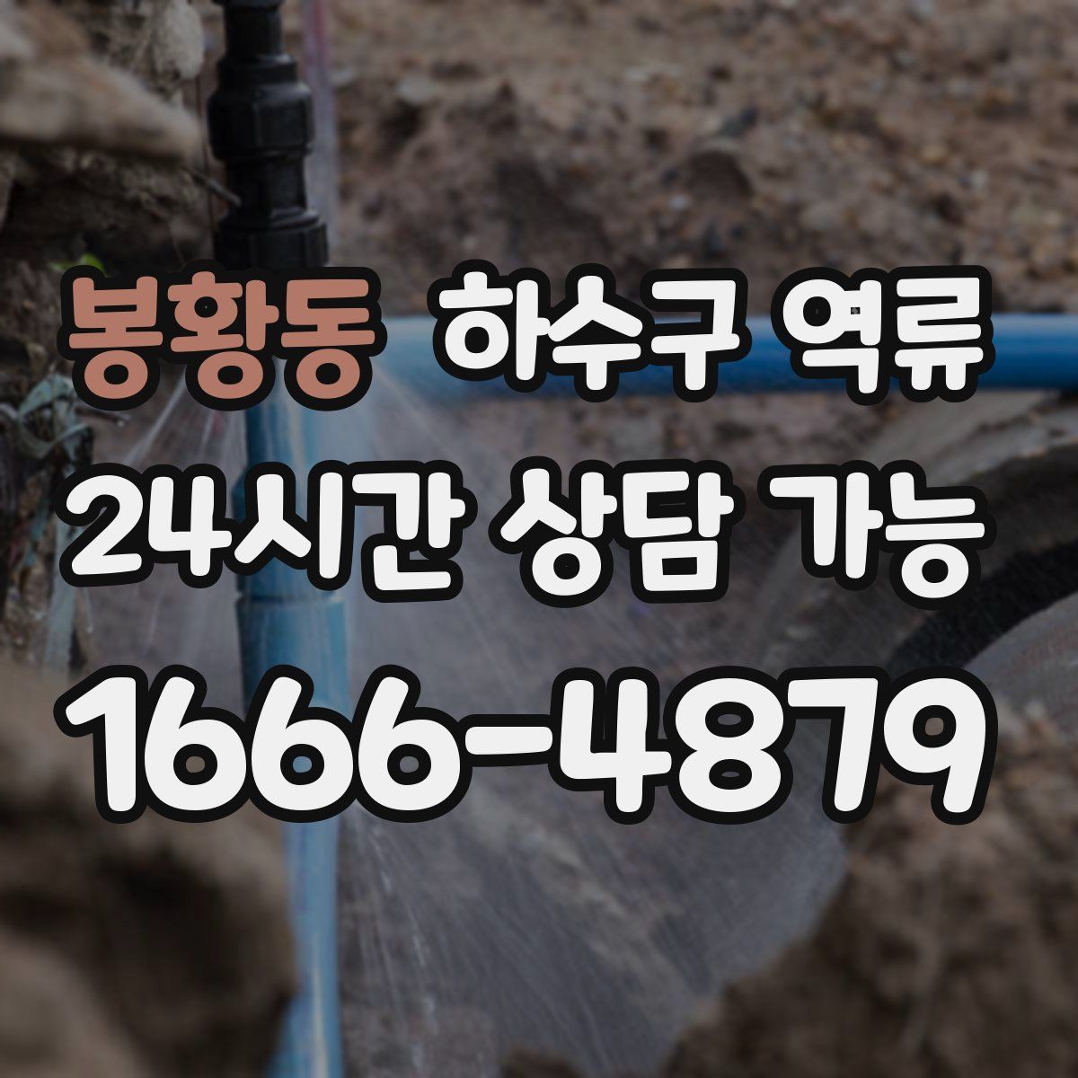 봉황동 하수구 역류